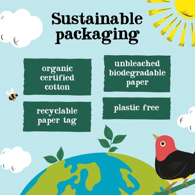 Clipper Organic &amp;amp; Fairtrade Green Tea   40 per pack