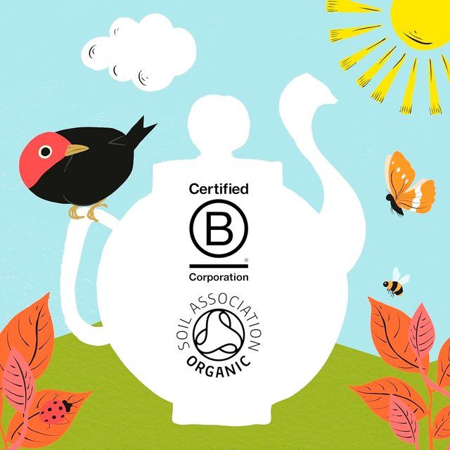 Clipper Organic Fairtrade Restoring Roots Ginger &amp;amp; Turmeric 20 Tea Bags   20 per pack