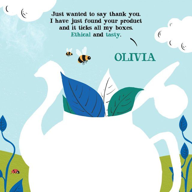 Clipper Organic Naturally Decaffeinated Tea Bags   80 per pack