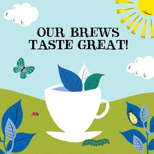 Clipper Organic Naturally Decaffeinated Tea Bags   80 per pack