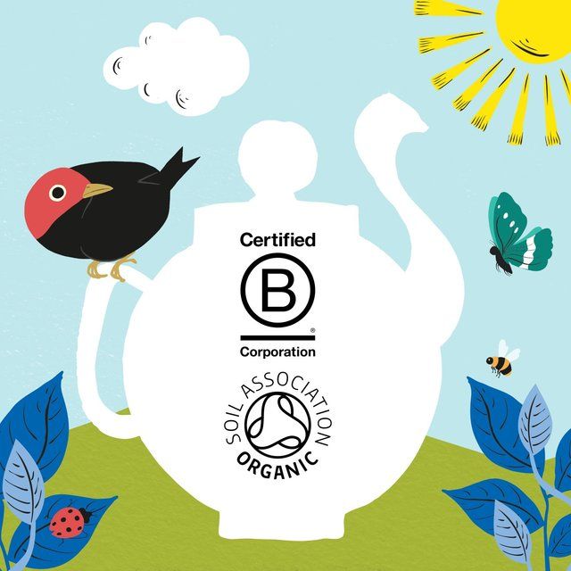 Clipper Organic Naturally Decaffeinated Tea Bags   80 per pack