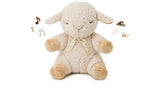 Cloud B Sleep Sheep Sound Soother &amp;amp; Sleeping Aid