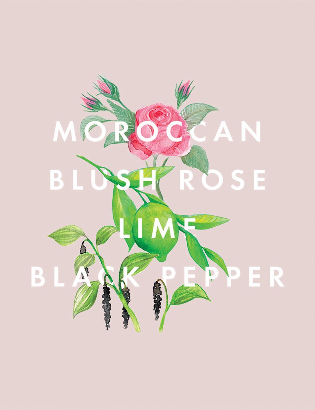 Complete Bliss Body &amp;amp; Hand Lotion 300ml