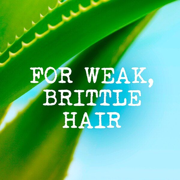 Maui Moisture Thicken &amp; Restore+ Bamboo Fiber Conditioner