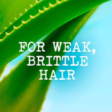 Maui Moisture Thicken &amp; Restore+ Bamboo Fiber Conditioner