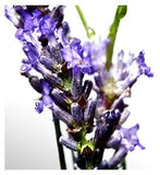 Davidoff Cool Water Man Eau de Toilette 125ml