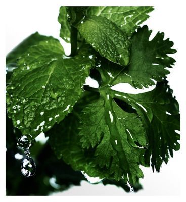 Davidoff Cool Water Man Eau de Toilette 125ml