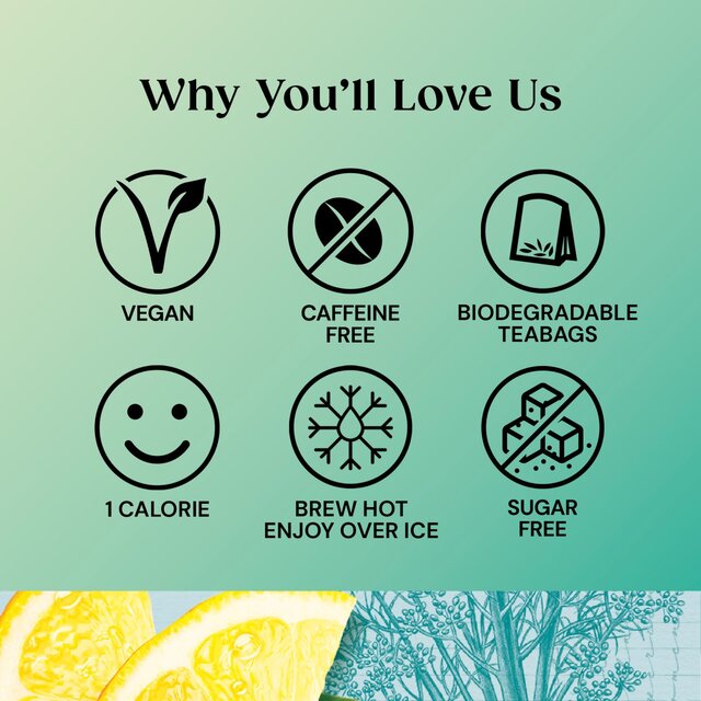 Twinings Superblends Detox with Lemon Ginger & Fennel   20 per pack - McGrocer