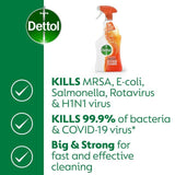 Dettol Antibacterial Hob Kitchen Cleaner Spray   750ml
