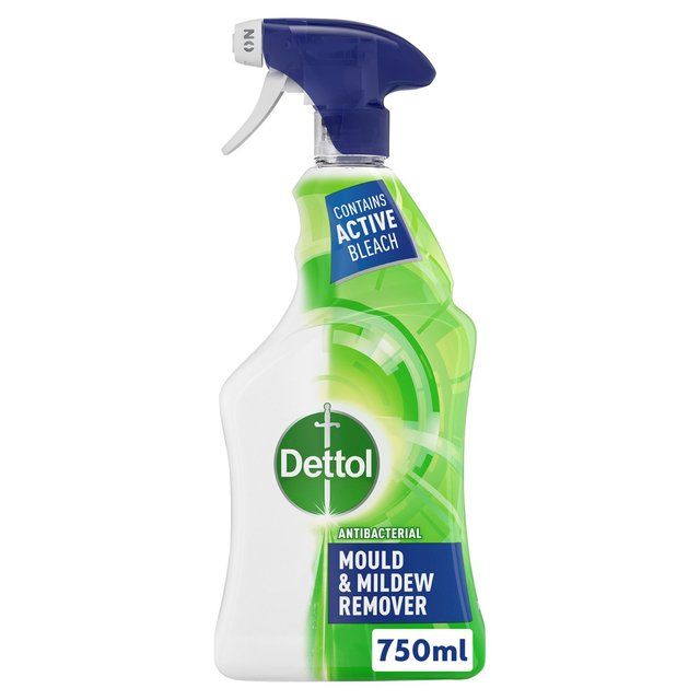 Dettol Antibacterial Mould &amp;amp; Mildew Remover Spray   750ml