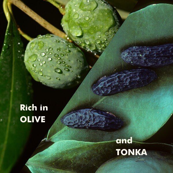 DNR ROAM Back Water Based Vegan Lube 50ml