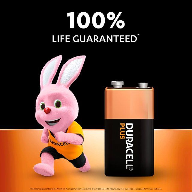 Duracell Plus 100% 9V Alkaline Batteries   2 per pack