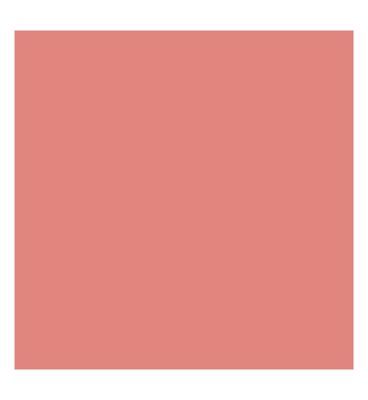 e.l.f. No Budge Matte Shadow Stick Bombshell