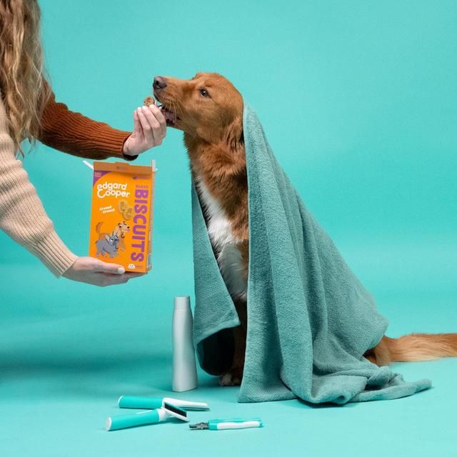 Edgard &amp;amp; Cooper Fresh Dog Treats Biscuits Turkey &amp;amp; Chicken   400g