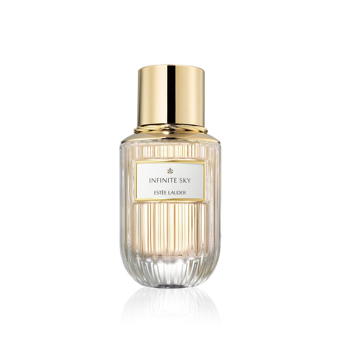 Est&amp;eacute;e Lauder Refillable Infinite Sky Eau de Parfum 40ml