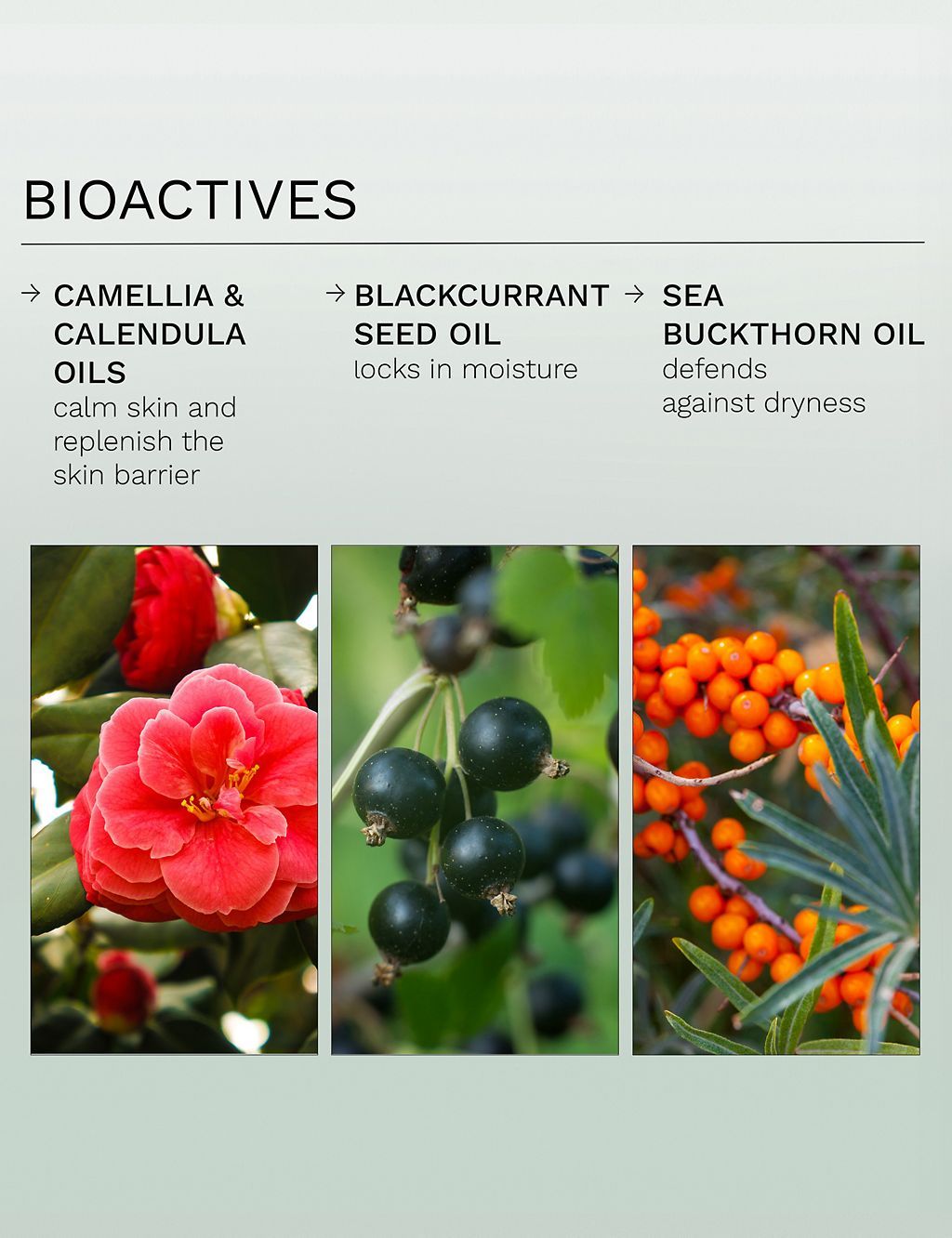 Evercalm&amp;trade; Global Protection Day Cream 50ml