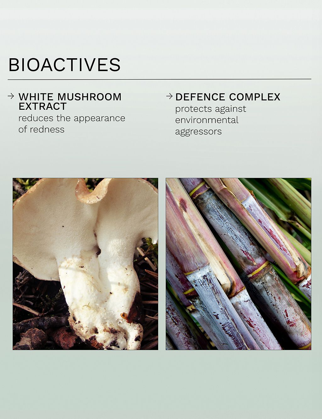 Evercalm&amp;trade; Redness Relief Serum 30ml