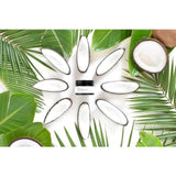 Evolve Organic Cotton Fresh Natural Deodorant   30ml