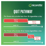 Nicorette Invisi 10mg Patch (7 Patches) Quit Smoking Aid Nicotine Patch   7 per pack - McGrocer