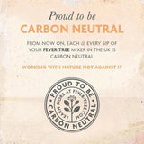 Fever-Tree Refreshingly Light Ginger Ale Cans