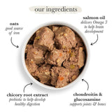 Forthglade Complete Adult Wholegrain Chicken with Oats &amp;amp; Veg   395g