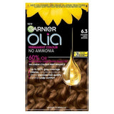 Garnier Olia 5.15 Frosted Chocolate Brown Permanent Hair Dye Golden Light Brown 6.3