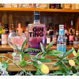 Gin Ting Passionfruit Mango &amp;amp; Elderflower Gin   70cl