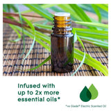 Glade Aromatherapy Electric Scented Oil Refill Calm Mind   20ml