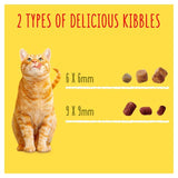 Go-Cat Crunchy &amp;amp; Tender Salmon and Tuna Dry Cat Food    900g