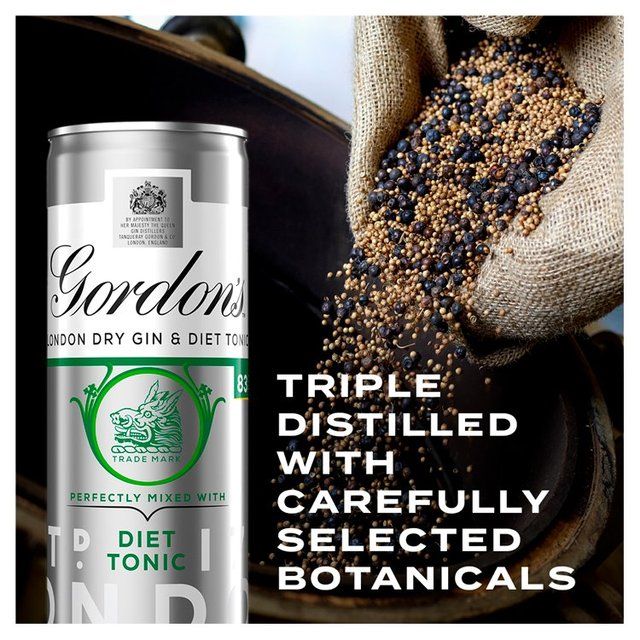 Gordon's Gin &amp;amp; Slimline Tonic   250ml