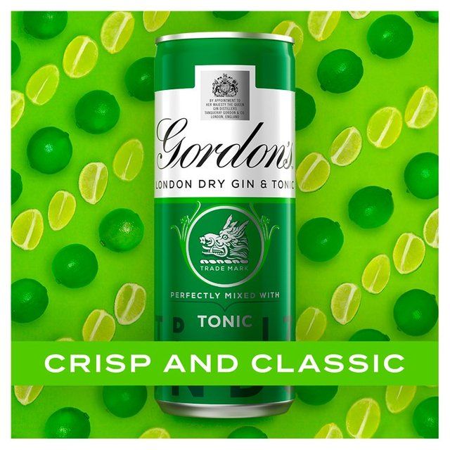 Gordon's Gin &amp;amp; Tonic   250ml