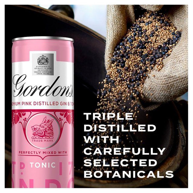 Gordon's Pink Gin &amp;amp; Tonic   10 x 250ml