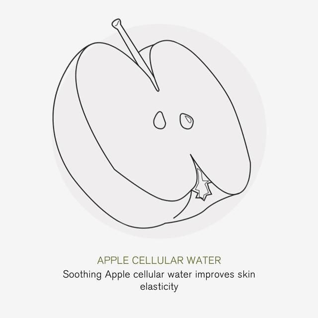 Green People Apple Complex Moisturiser Nordic Roots   50ml