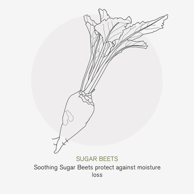 Green People Apple Complex Moisturiser Nordic Roots   50ml