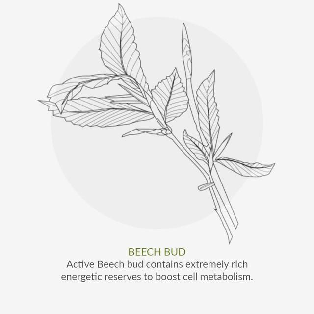 Green People Brightening Moisturiser Age Defy+ By Cha Vohtz Vegan   30ml