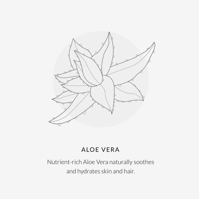 Green People Facial Sun Cream SPF30 Scent Free   50ml