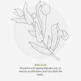 Green People Organic  24 Hour Moisturiser Vitamin Fix    50ml