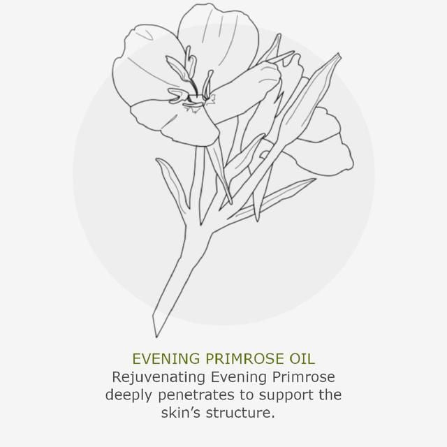 Green People Organic  24 Hour Moisturiser Vitamin Fix    50ml