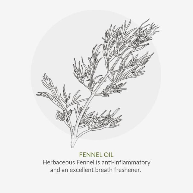 Green People Organic Toothpaste Fennel &amp;amp; Propolis   50ml