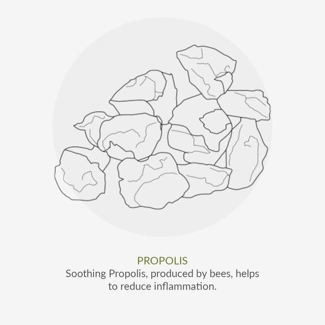 Green People Organic Toothpaste Fennel &amp;amp; Propolis   50ml