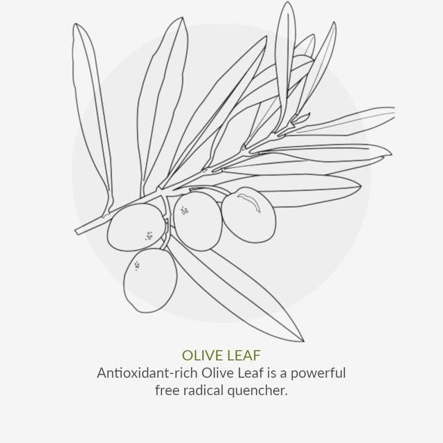 Green People Organic Toothpaste Peppermint &amp;amp; Aloe Vera Vegan   50ml