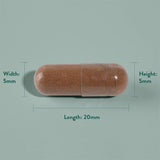 H&amp;amp;B Expert Menopause Day 60 Capsules