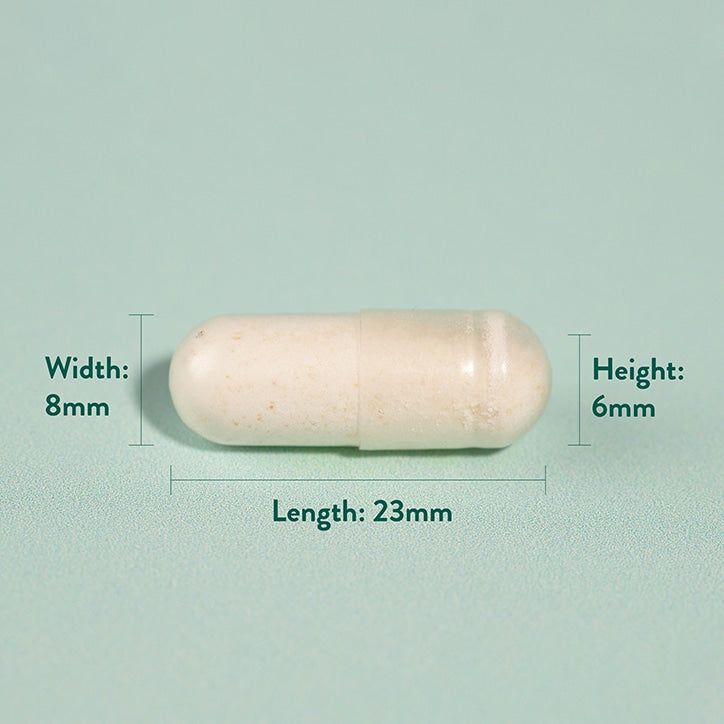 H&amp;amp;B Expert Triple Action Biotic Gut Formula 60 Capsules