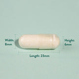 H&amp;amp;B Expert Triple Action Biotic Gut Formula 60 Capsules