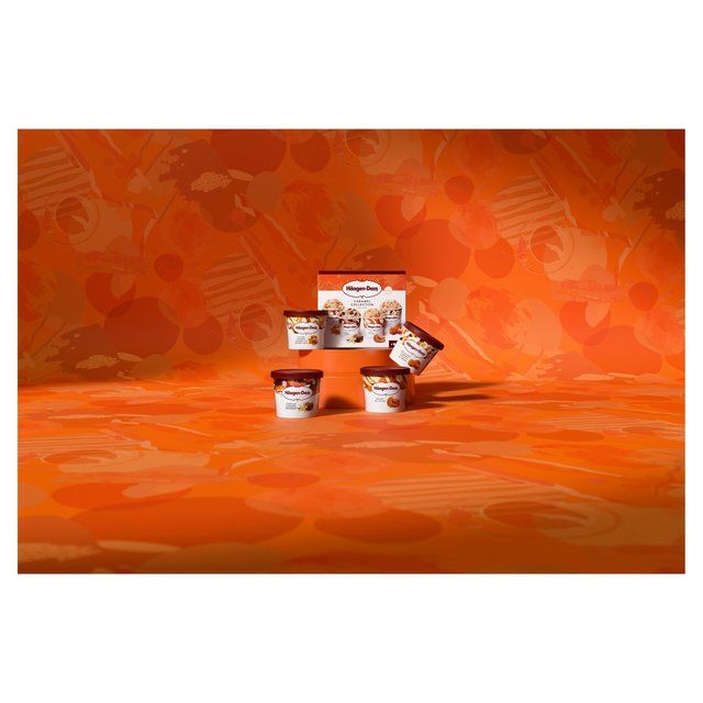 Haagen-Dazs Caramel Collection Mini Cups Ice Cream    4 x 95ml