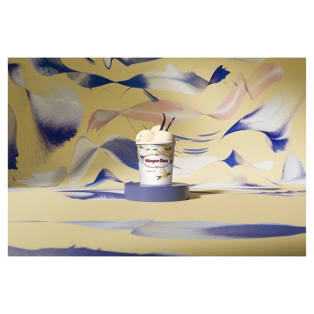 Haagen-Dazs Vanilla Ice Cream   460ml