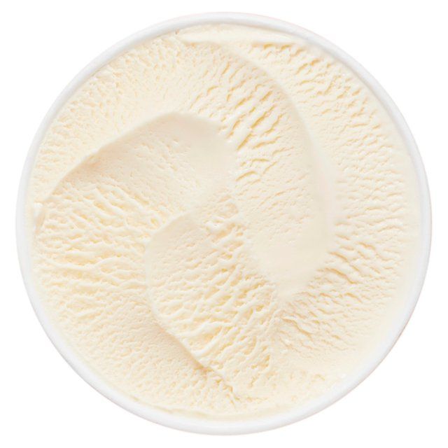 Haagen-Dazs Vanilla Ice Cream   460ml