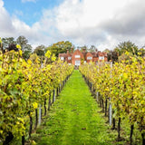 Hambledon Classic Cuvee Brut NV   75cl