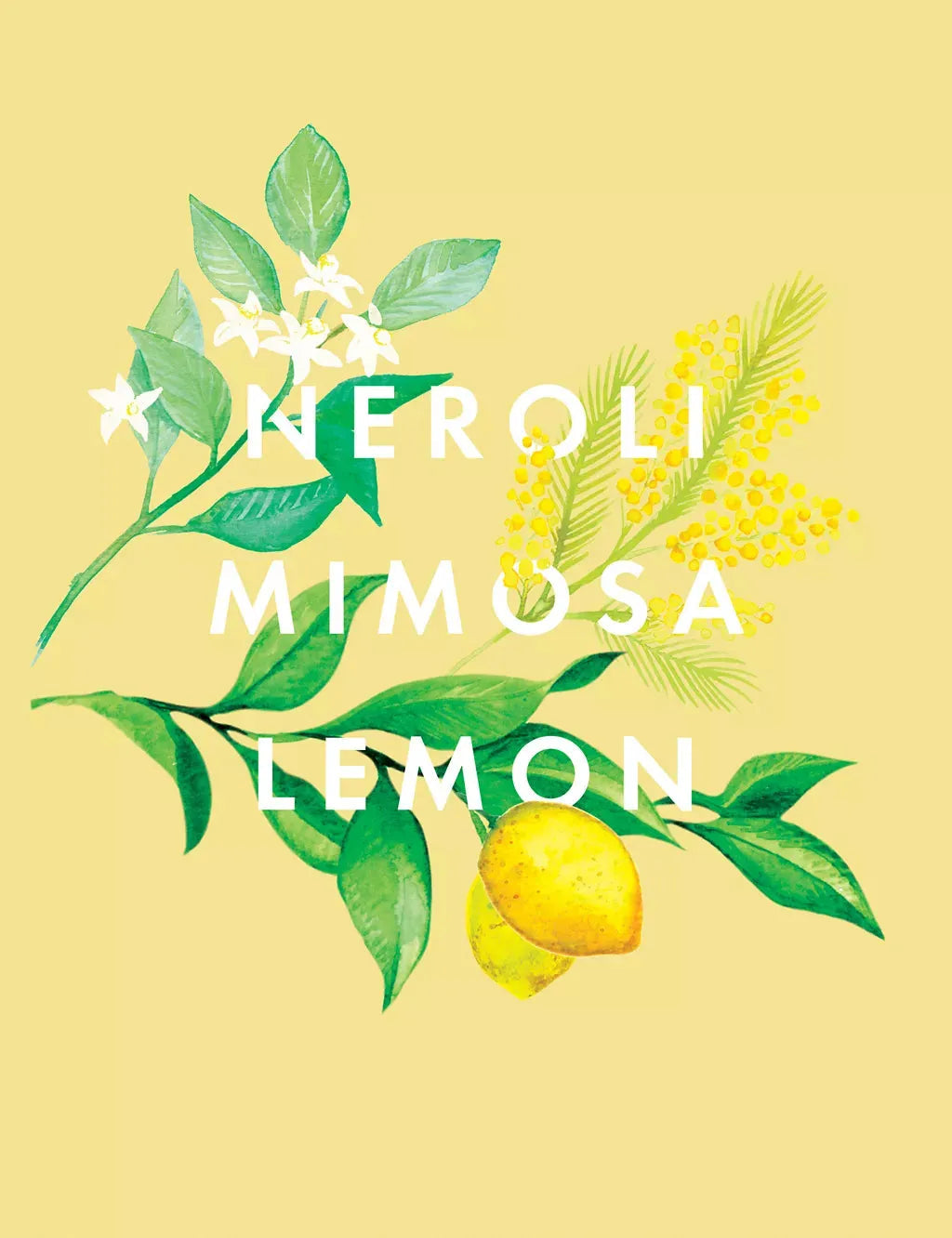 Happiness Reed Diffuser 100ml