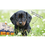 Healthy Paws British Turkey &amp;amp; Brown Rice Puppy Dog Food   12kg